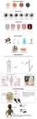 160cm full body huge breasts fat big hip lifelike black long hair female Anya Silicone sex doll for men invented by automatic woman